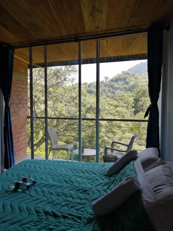 Auberge de jeunesse Pistacho *